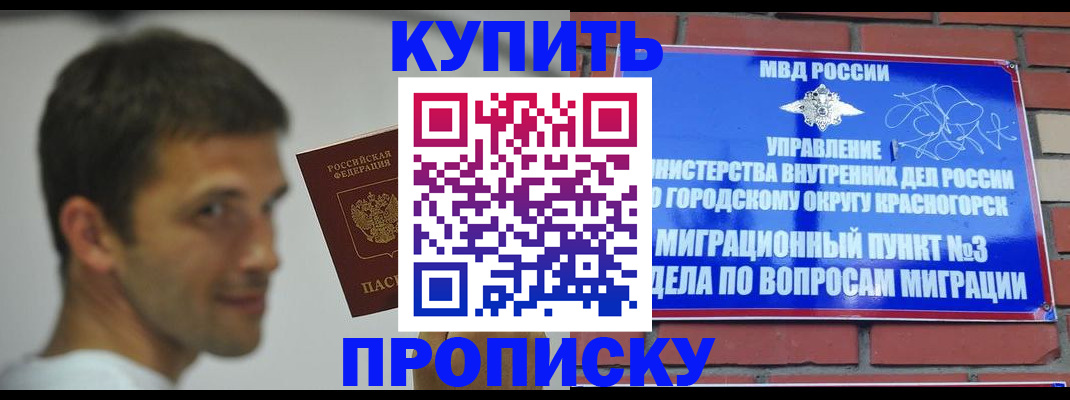 временная регистрация 2025 в Завитинске