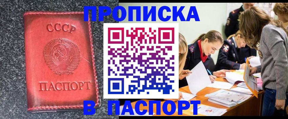 прописка для школы в Завитинске
